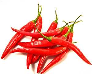 Agri Classifieds- Red Chilly Seeds For Sale