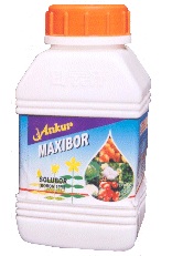 maxibor.gif (17682 bytes)