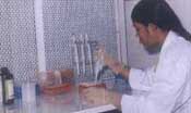 lab.jpg (9490 bytes)