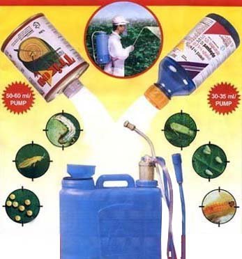 EFFECTIVE PEST CONTROL