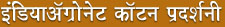 hindi.jpg (10301 bytes)