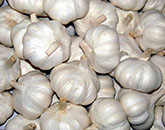 Garlic cultivation Guidance