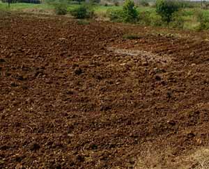 Red Soil Agri Land For sale