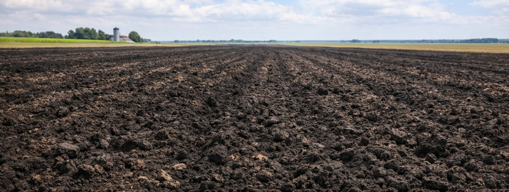 Rich black Mollisol soils for high yield agriculture