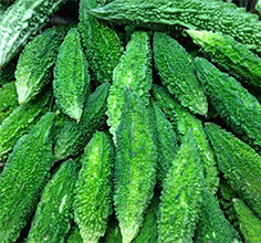 Bitter Gourd Cultivation Guidence