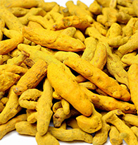 Turmeric Cultivation - Crop Cultivation Guide
